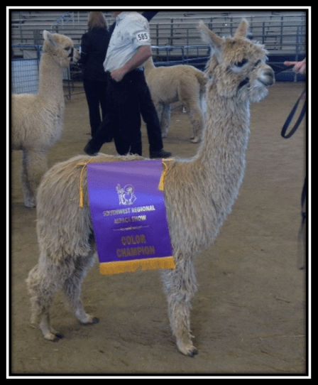 screen-shot-2016-11-27-at-12-13-55-am